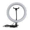 10" RGBLed Işıklı Canlı Yayın Lambası  (Kumandalı) resmi
